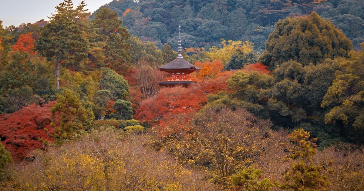 A traditional pagoda among autumn foliage in Kyoto, Japan