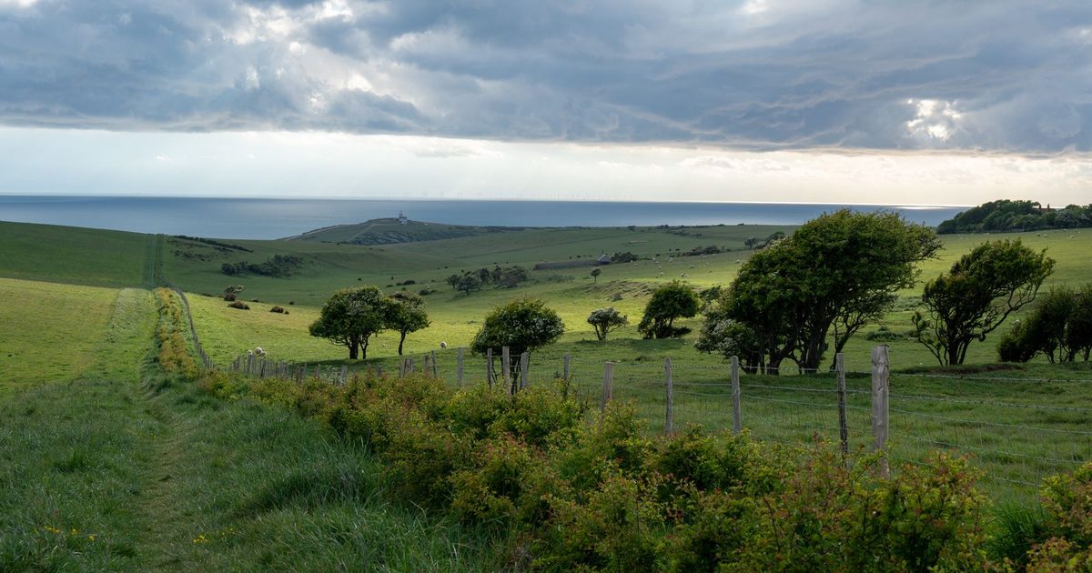 Rolling hills, trees and the sea in England