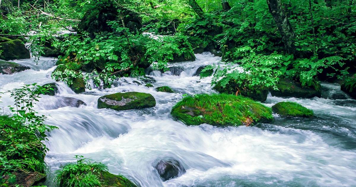A mountain stream at Oirase, Aomori