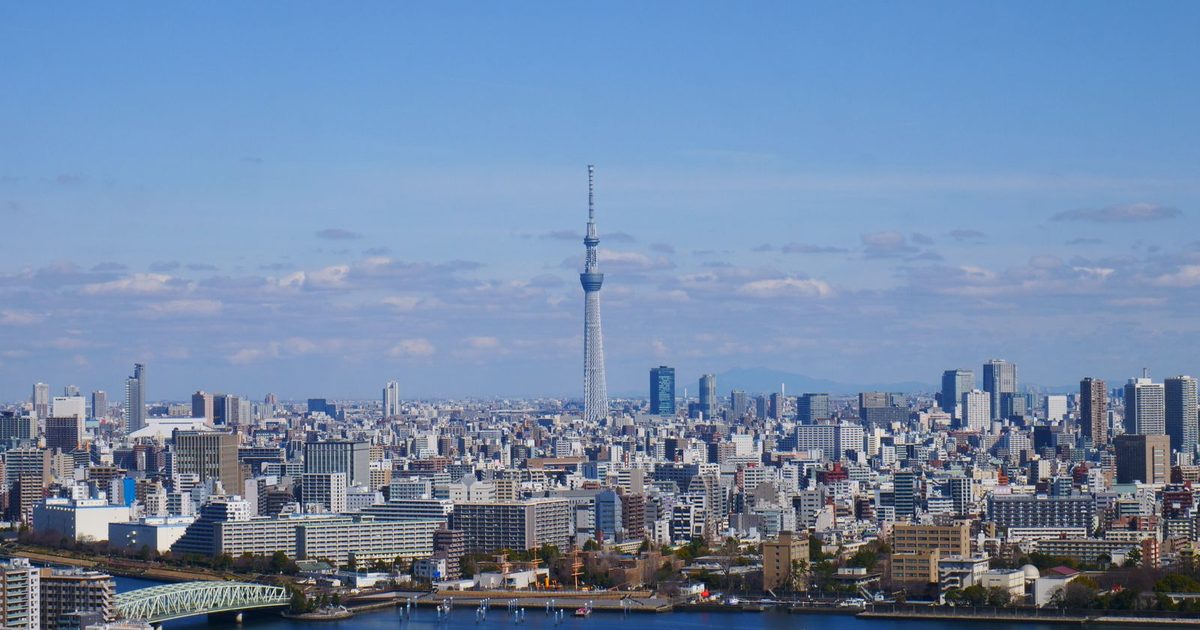 The Tokyo skyline and Tokyo Skytree from above